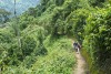 Nyungwe Forest, Rwanda