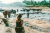 Popular Destinations For Solo Female Travellers: Sri Lanka