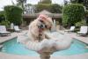 marine the dog airbnb