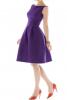 Alfred Snug (Nordstrom) - Dupioni Fit and Flare Dress
