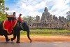 Animal experiences to avoid when travelling