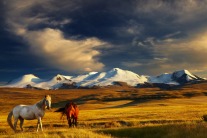 7 Reasons Why Mongolia Should Be Your Next Travel Destination 