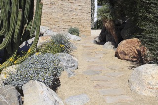 xeriscaping plants list