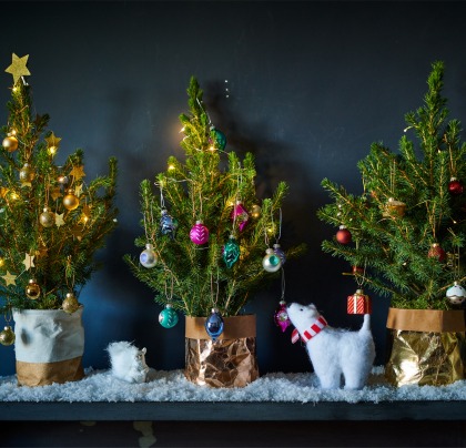 6 Alternative Christmas Trees For Small Spaces Ewmoda